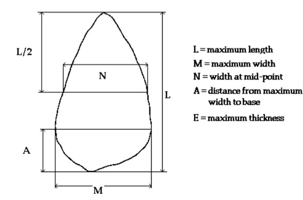 hameasure